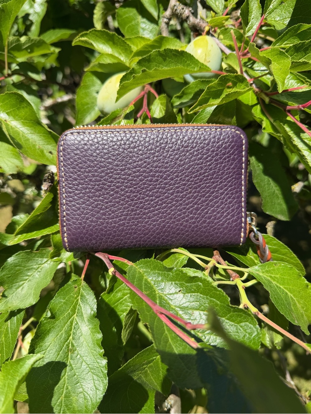 Dooney & Bourke Plum Pebble Leather Zip-Around Wallet with Contrast Trim - Picture 2 of 3